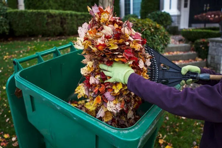 What Is the Right Size Dumpster for a Yard Waste Clean-Out?